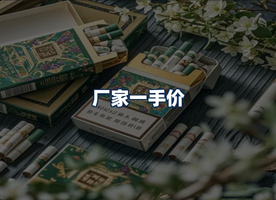 专业团队办公环境